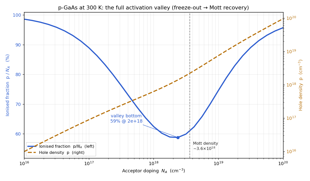 Ionised fraction of p-type GaAs at 300 K versus acceptor doping from 1e16 to 1e20 per cubic centimetre. The fraction stays near 100 per cent up to about 1e17, sags to a valley bottom near 59 per cent just below the Mott density, then recovers toward 96 per cent by 1e20. A second curve shows the hole density rising monotonically throughout.