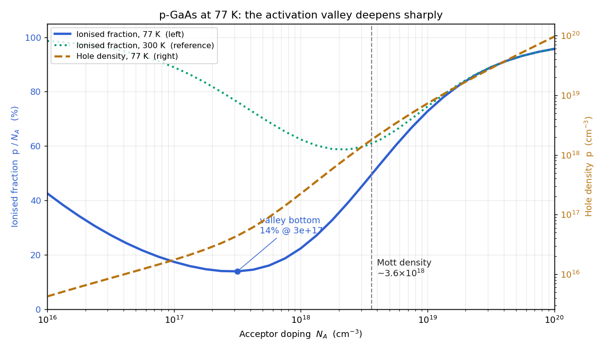 The same plot at 77 K, with the 300 K curve shown dotted for reference. At 77 K the valley is far deeper, bottoming near 14 per cent at about 3e17 per cubic centimetre, and its minimum sits below the Mott density rather than above it. Both temperatures converge to about 96 per cent at 1e20.